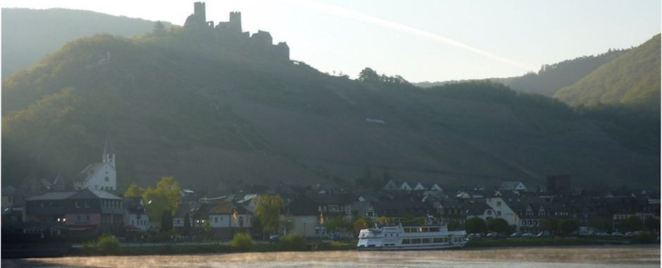 Goldstueck im Morgennebel